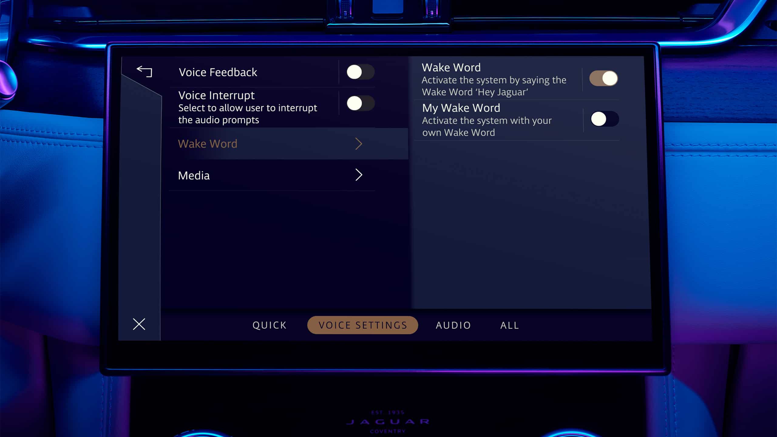 JDX car screen showing voice setting